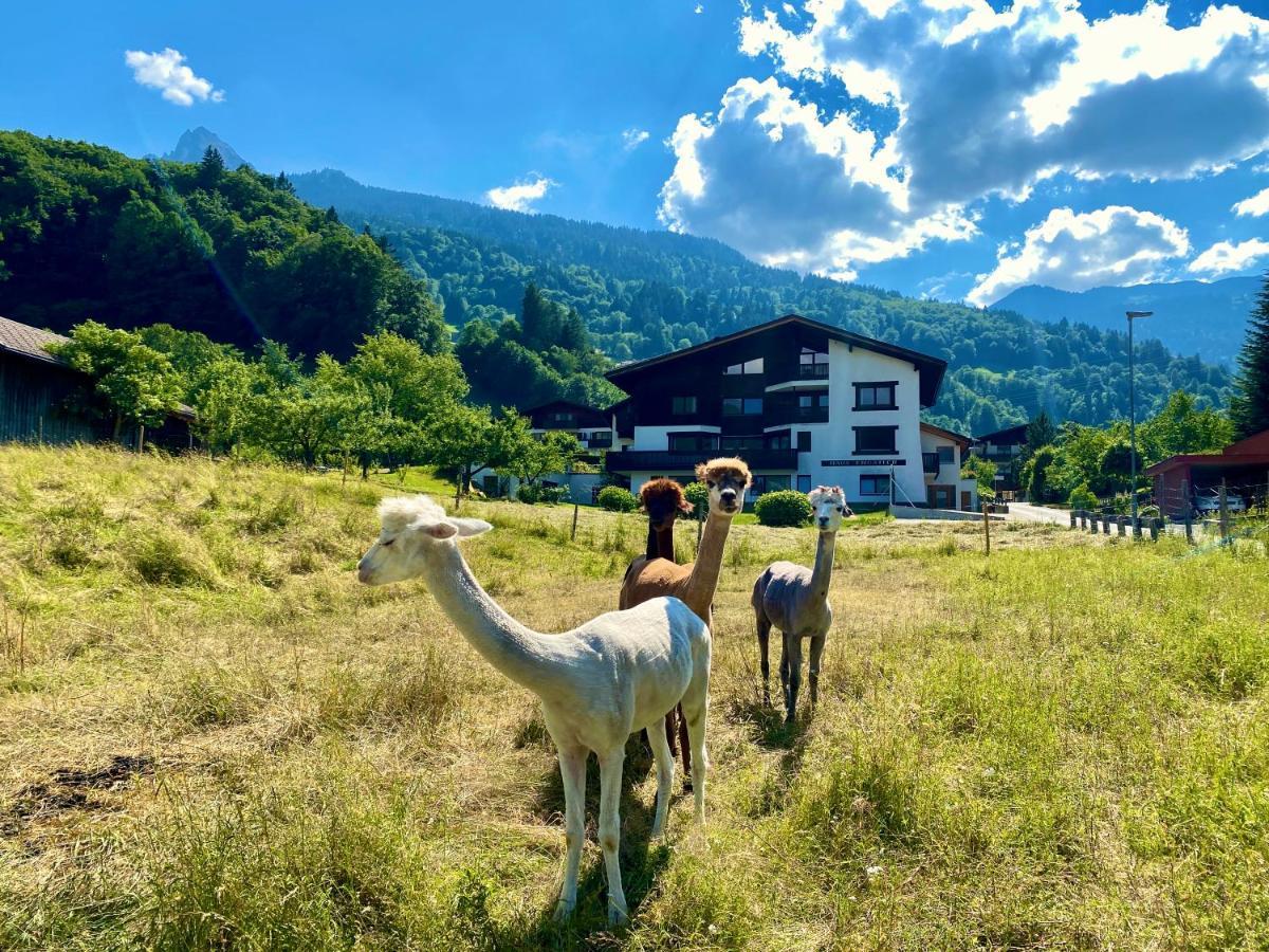 Alpenapart Montafon - Haus Engstler Schruns Exteriér fotografie